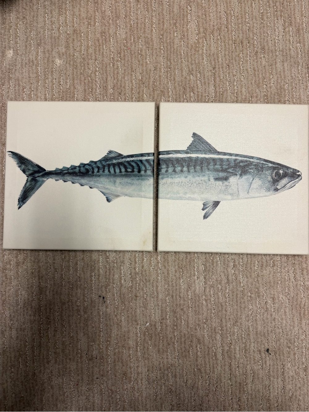 IKEA Pjatteryd Fish Canvas Art Print 10x10